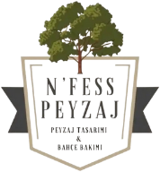 N’Fess Peyzaj